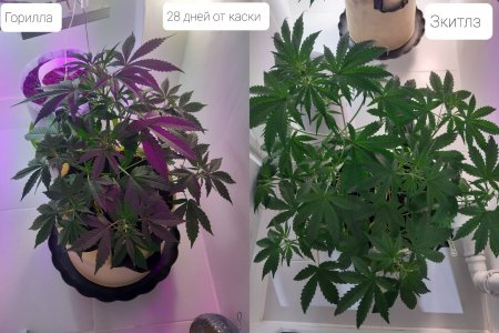 20220423_210756.jpg 20220423_210756.jpg