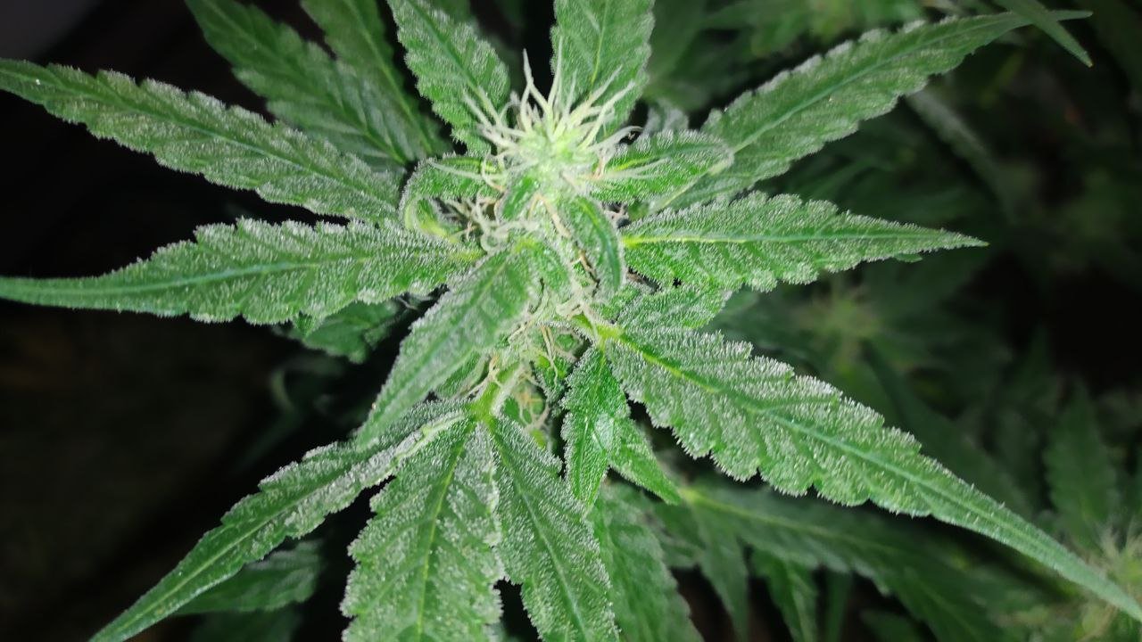 photo_2023-03-17_16-15-24.jpg photo_2023-03-17_16-15-24.jpg