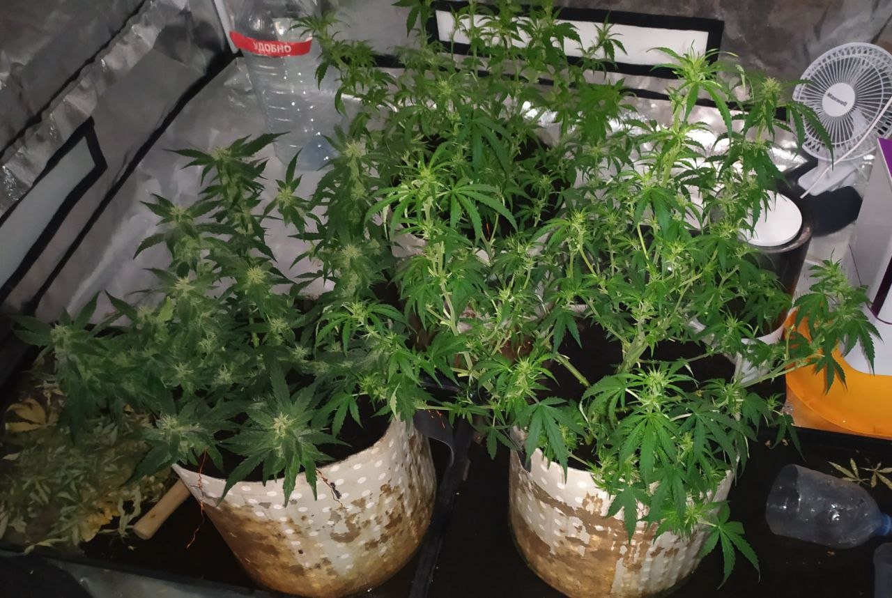 photo_2023-03-17_16-15-23 (4).jpg photo_2023-03-17_16-15-23 (4).jpg