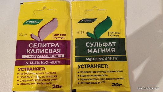 IMG_20230318_212954.jpg IMG_20230318_212954.jpg