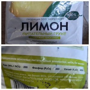 Сад Чудес Лимон.jpg Сад Чудес Лимон.jpg