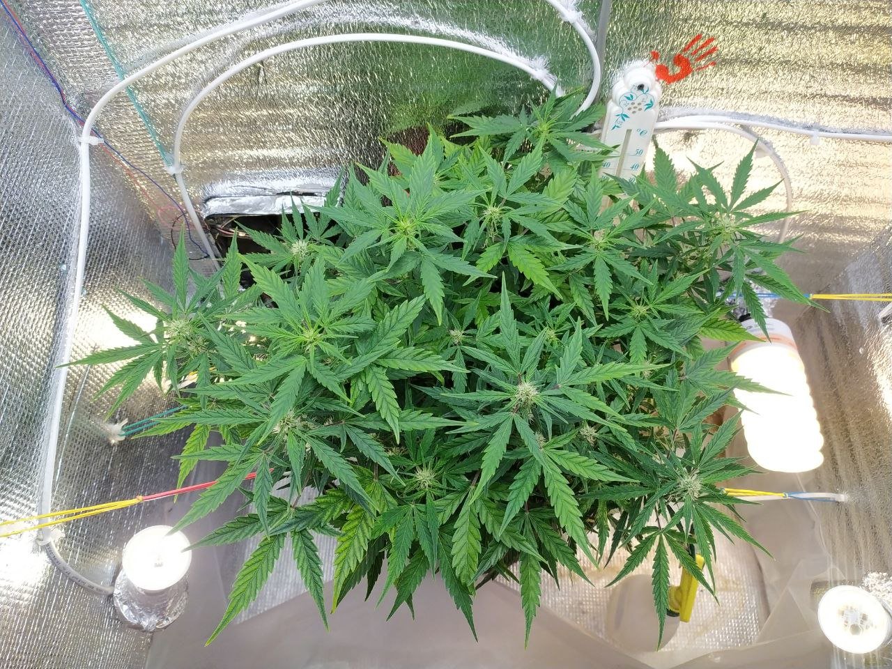 photo_2023-03-19_13-03-03 (3).jpg photo_2023-03-19_13-03-03 (3).jpg