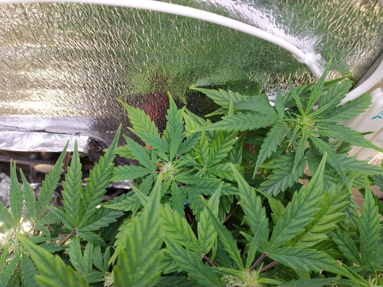 photo_2023-03-19_13-03-02.jpg photo_2023-03-19_13-03-02.jpg