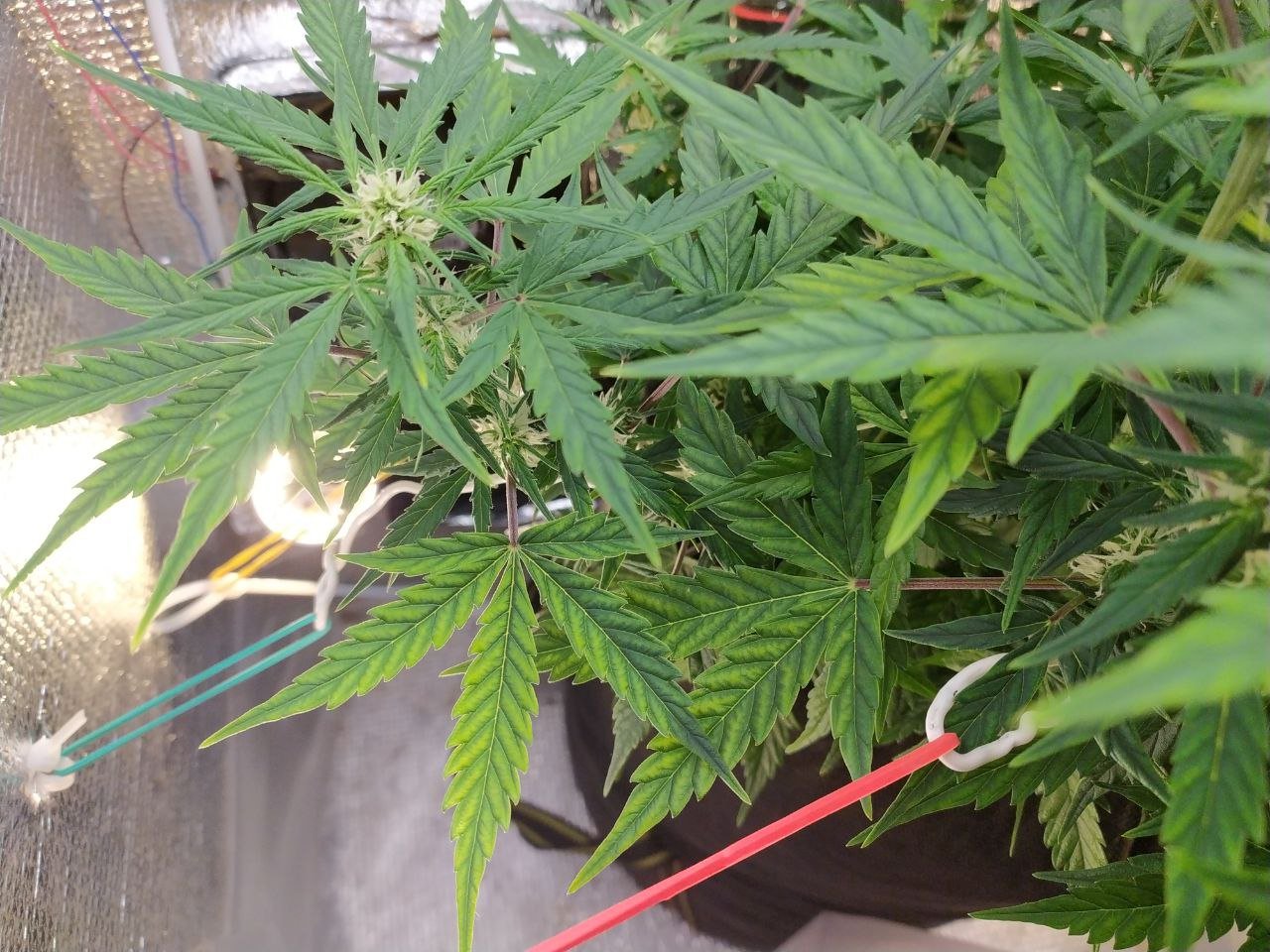 photo_2023-03-19_13-03-03 (2).jpg photo_2023-03-19_13-03-03 (2).jpg