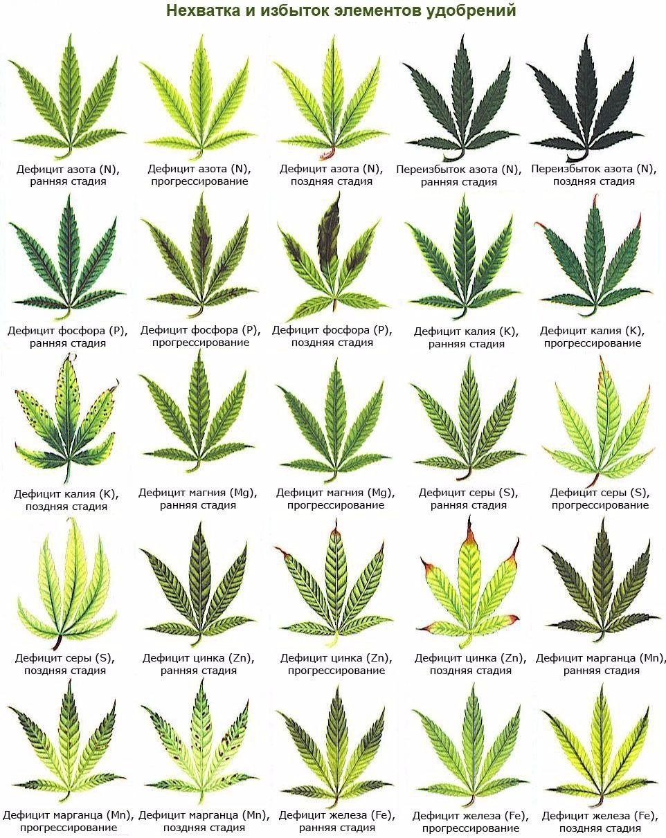 IMG_20230319_141707_278.jpg IMG_20230319_141707_278.jpg