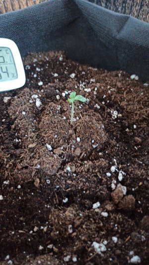 IMG_2023_03_20_15_29_39_6576374367136018710381.jpg IMG_2023_03_20_15_29_39_6576374367136018710381.jpg