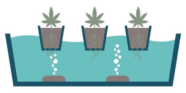 DWC InfoGraphic.jpg DWC InfoGraphic.jpg