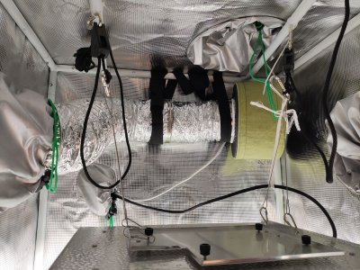 IMG_20230323_204038.jpg IMG_20230323_204038.jpg