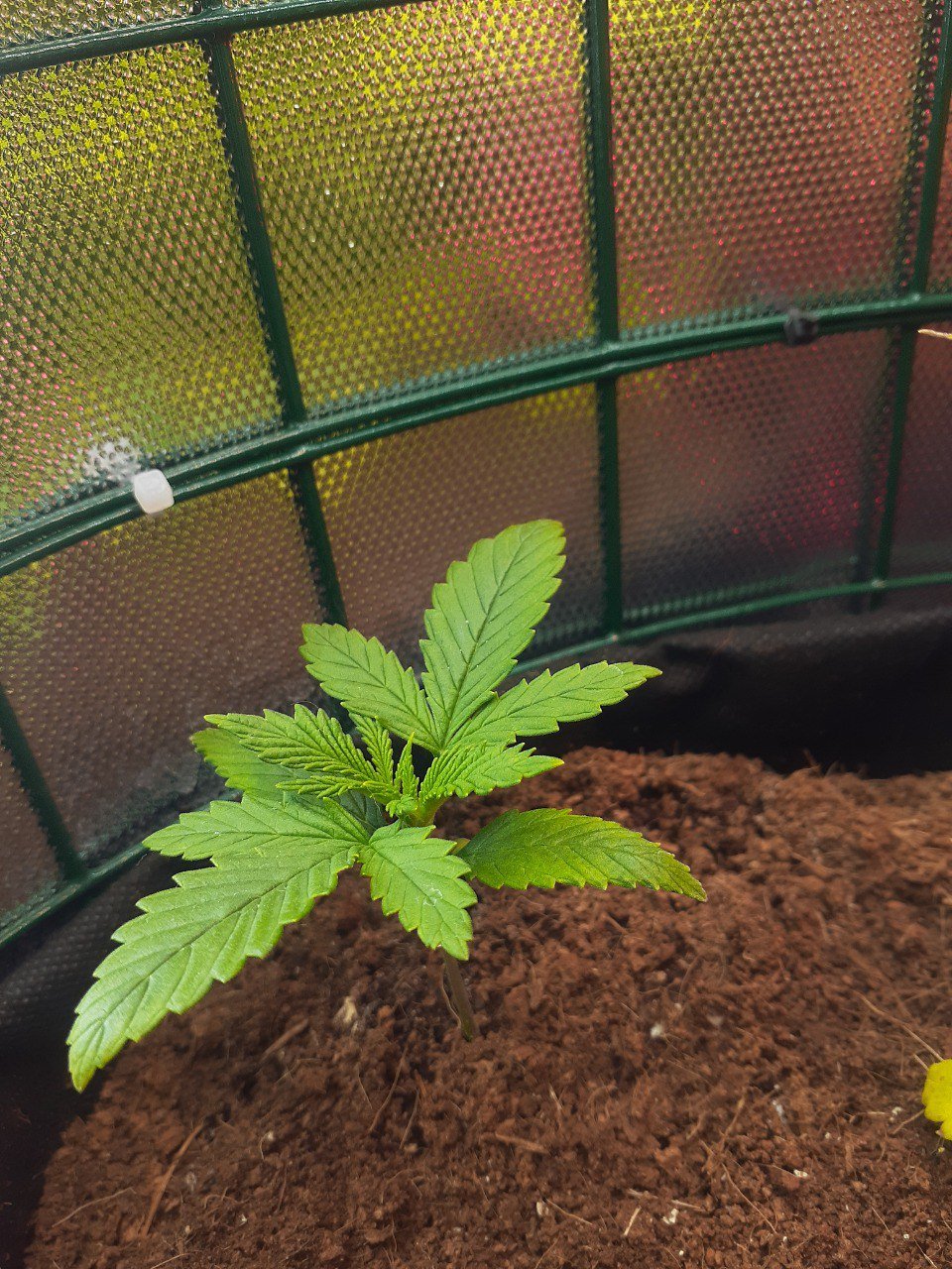 photo_2023-03-24_14-13-16 (2).jpg