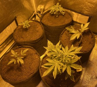 IMG_5648.JPG IMG_5648.JPG