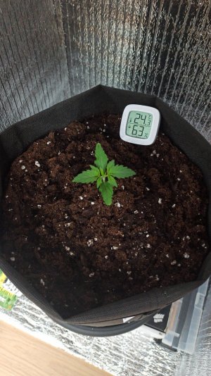 IMG_2023_03_26_15_26_12_1956447644733043704661.jpg IMG_2023_03_26_15_26_12_1956447644733043704661.jpg