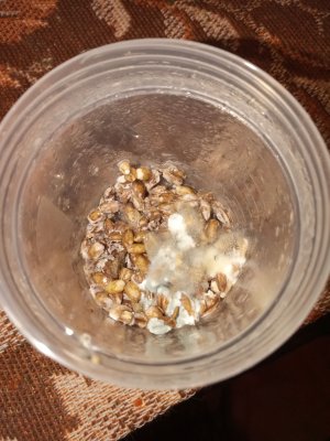 IMG_20230326_204916_9.jpg IMG_20230326_204916_9.jpg