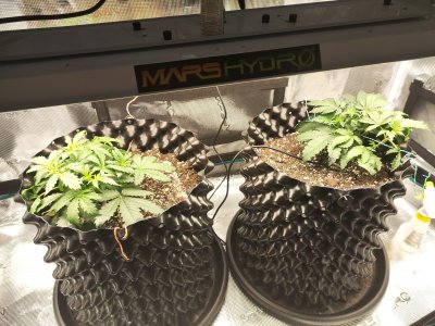 1677220617022.jpg 1677220617022.jpg