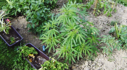 1679992905402.png 1679992905402.png