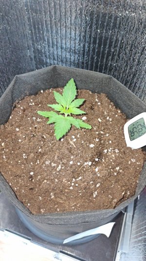 IMG_2023_03_28_15_03_32_3834664700179116033014.jpg IMG_2023_03_28_15_03_32_3834664700179116033014.jpg