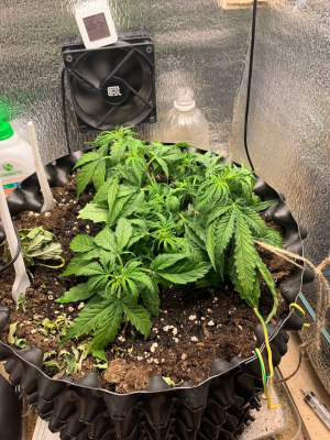 1680016076810.png 1680016076810.png