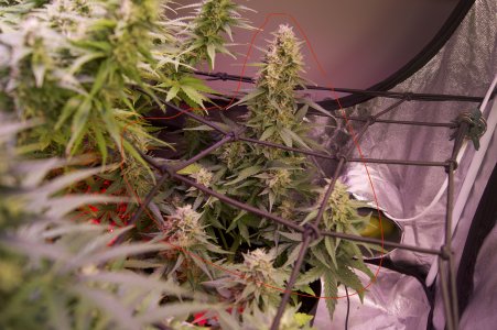 DSC04660.jpeg DSC04660.jpeg