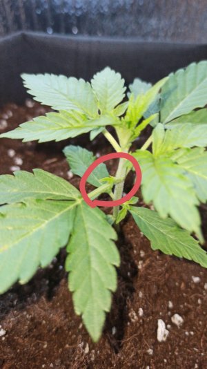 upload_2023_03_30_15_48_01_399.jpg upload_2023_03_30_15_48_01_399.jpg