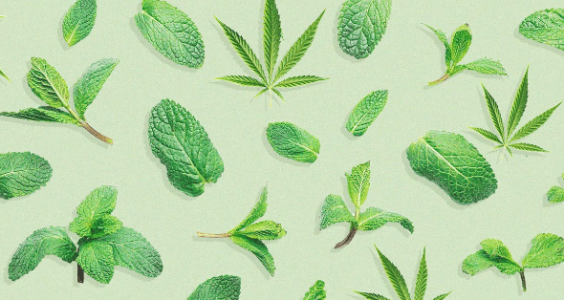 1680440277223.png 1680440277223.png