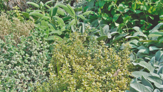 1680440339153.png 1680440339153.png