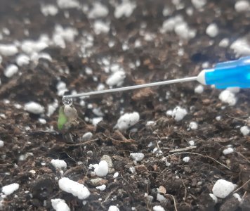 20230404_105410.jpg 20230404_105410.jpg