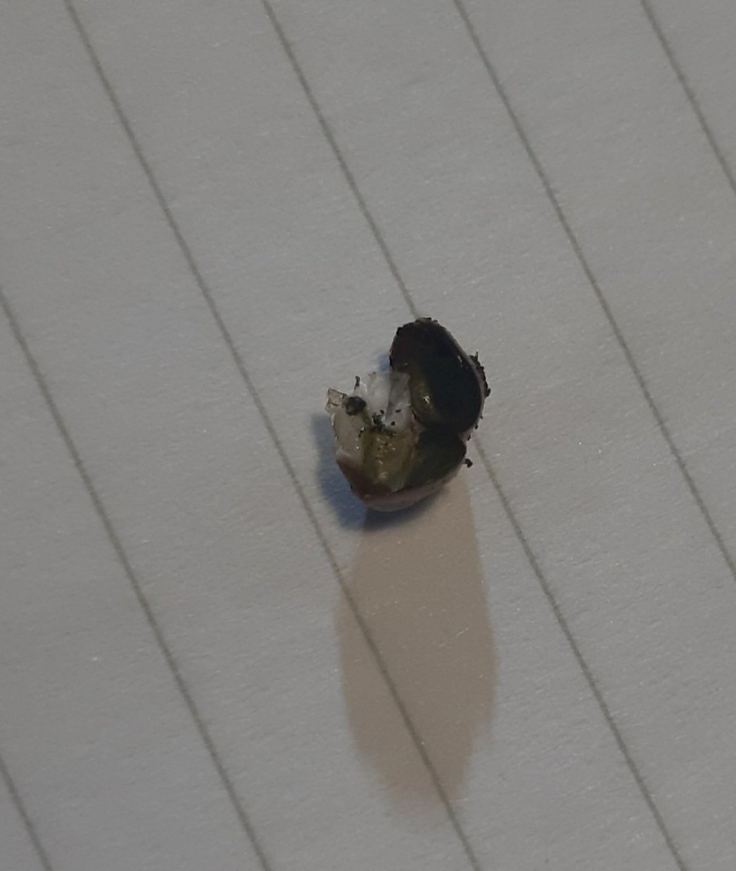 20221219_184526.jpg 20221219_184526.jpg