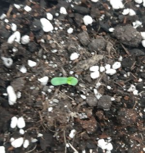 20230404_105317.jpg 20230404_105317.jpg