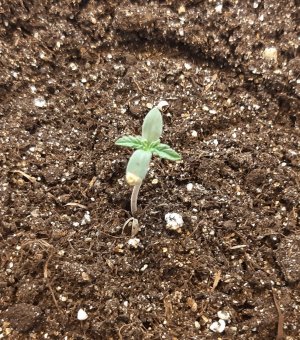 20230404_191654.jpg 20230404_191654.jpg