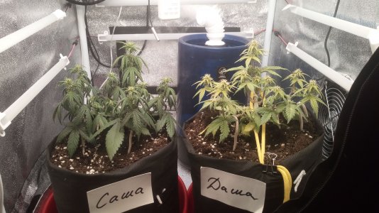 05.04.23 (1).jpg 05.04.23 (1).jpg