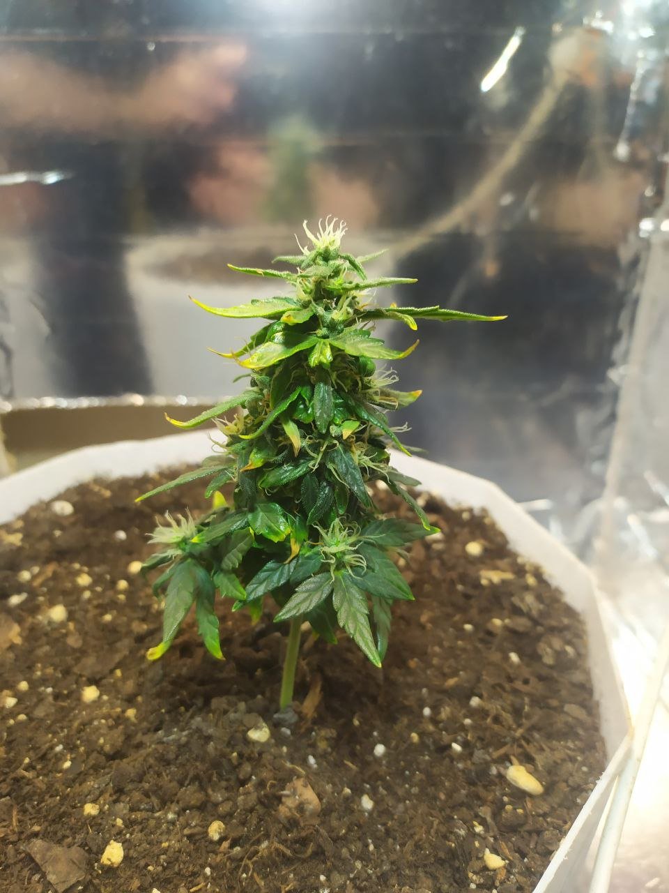 photo_2023-04-06_15-14-18 (2).jpg