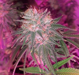 20230407_105646.jpg 20230407_105646.jpg