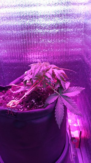 IMG_2023_04_07_15_46_39_2711955449817257386472.jpg IMG_2023_04_07_15_46_39_2711955449817257386472.jpg