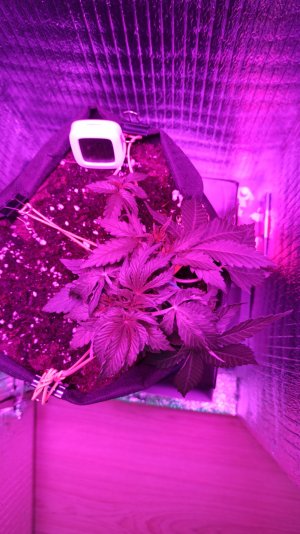 IMG_2023_04_07_15_47_00_9901745825218955497051.jpg IMG_2023_04_07_15_47_00_9901745825218955497051.jpg