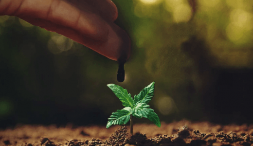 1680880776905.png 1680880776905.png