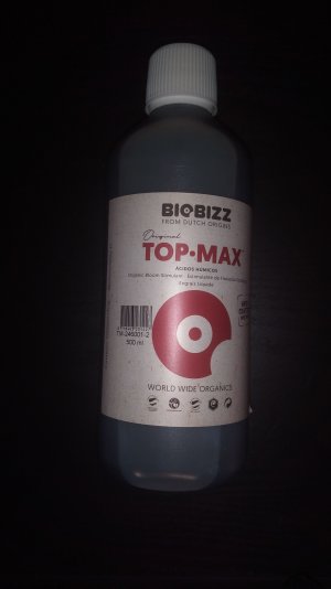 08.04.23 (2).jpg 08.04.23 (2).jpg