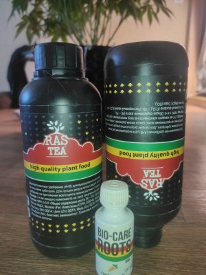 IMG_20230409_162807_950.jpg IMG_20230409_162807_950.jpg