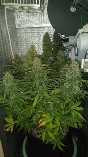 IMG20230411231343.jpg IMG20230411231343.jpg