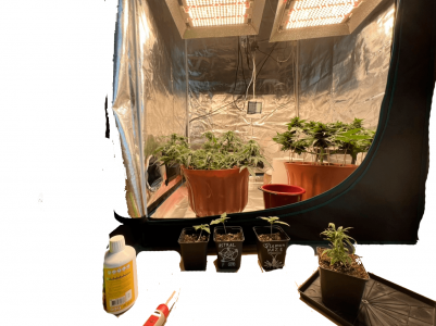 Без имени-5.png Без имени-5.png