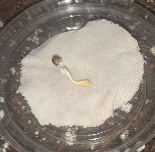 20230413_141540.jpg 20230413_141540.jpg