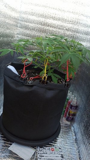 IMG_2023_04_13_15_13_24_4626675375570807035418.jpg IMG_2023_04_13_15_13_24_4626675375570807035418.jpg