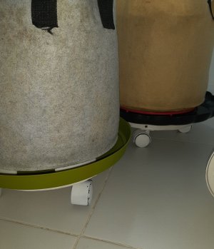 20230413_185958.jpg 20230413_185958.jpg