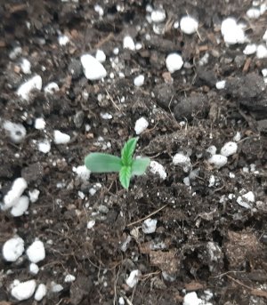 20230414_102640.jpg 20230414_102640.jpg