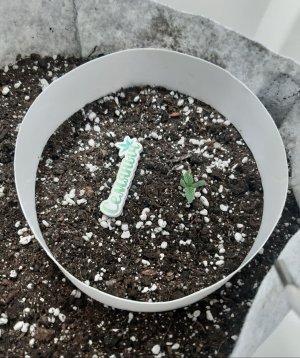 20230414_110301.jpg 20230414_110301.jpg