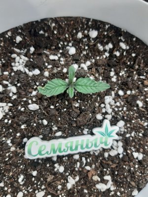 20230414_184618.jpg 20230414_184618.jpg