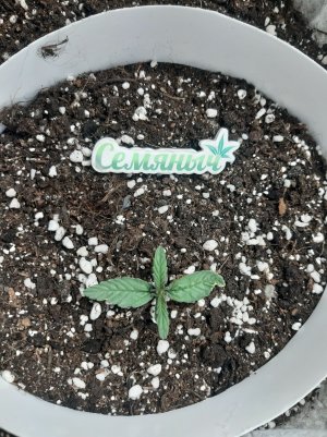 20230414_191855.jpg 20230414_191855.jpg