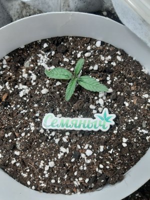 20230415_105141.jpg 20230415_105141.jpg