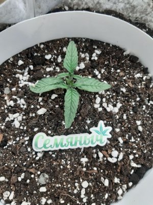 20230415_110625.jpg 20230415_110625.jpg