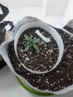 20230415_112727.jpg 20230415_112727.jpg