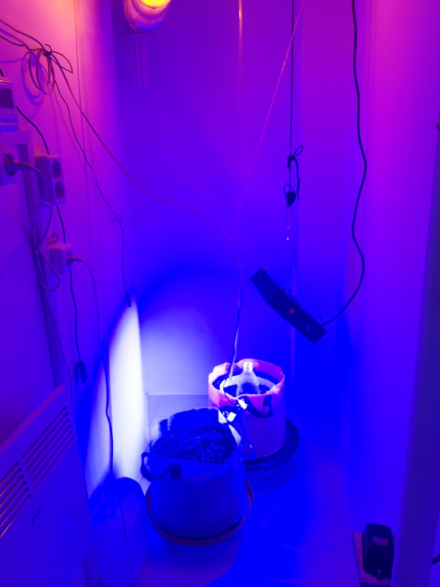 20230415_164734.jpg 20230415_164734.jpg