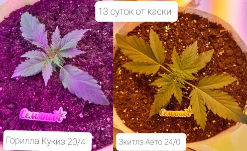 20220408_210003.jpg 20220408_210003.jpg